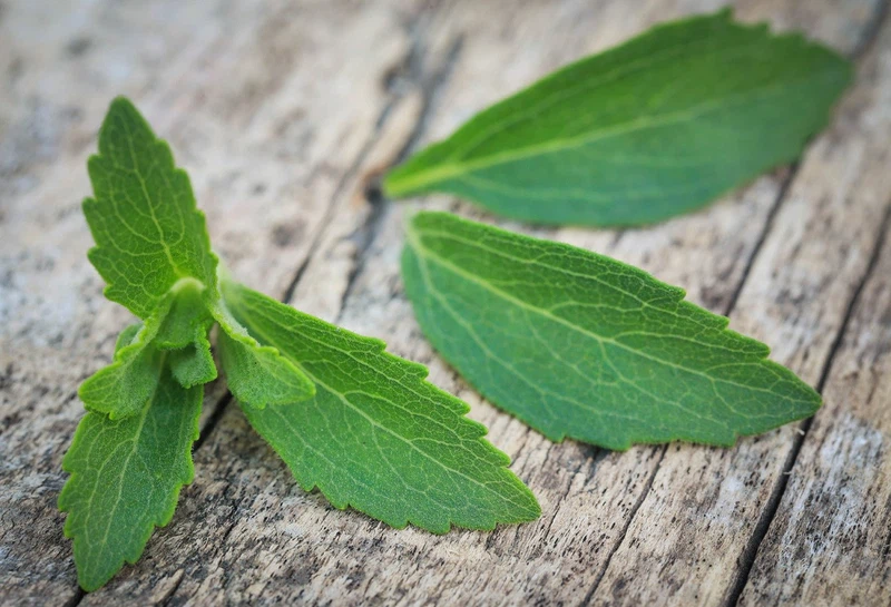 STEVIA LEAF STEVIA LEAF