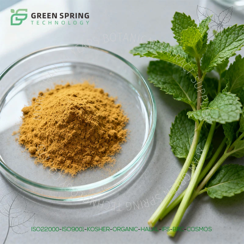 Bột chiết xuất bạc hà