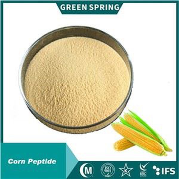 Corn Peptide Corn Peptide